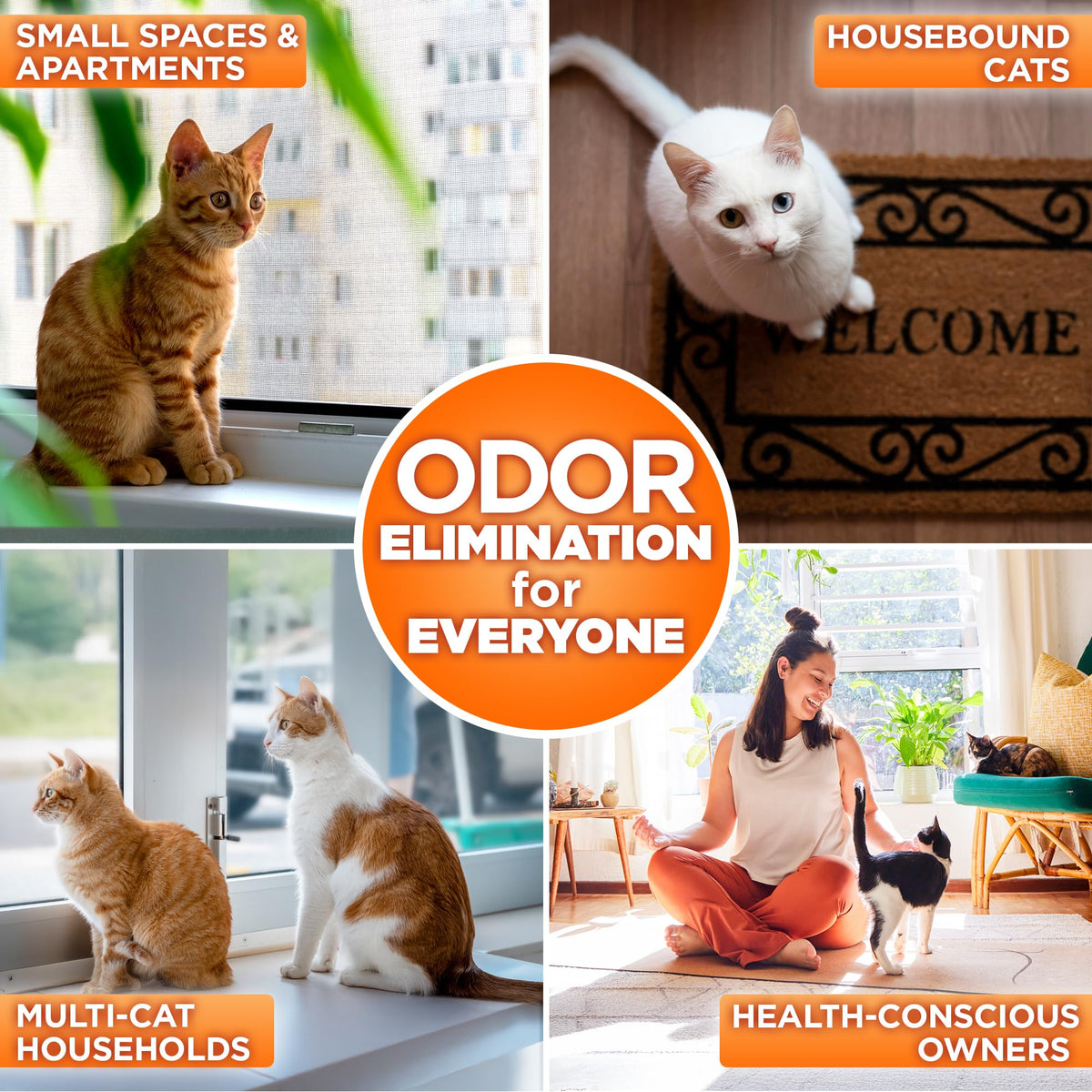 POOPH Litterizer Cat Litter Odor Eliminator Additive, 16 fl oz Bottle
