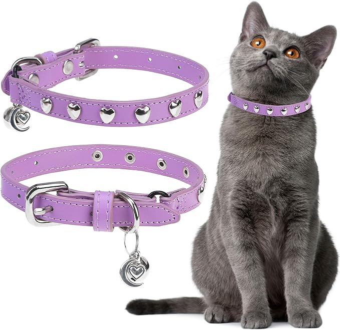 EXPAWLORER Leather Cat Collar for Girl Boy Cats