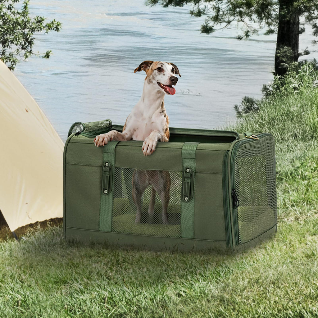 Petsfit 19x12x12 Pet Carrier for Large Cats (up to 20 lbs), Soft-Sided Small Dog Travel Carrier, Upgraded with Patented Buckle and Soft Padding, Ideal for Car Road Trips Green