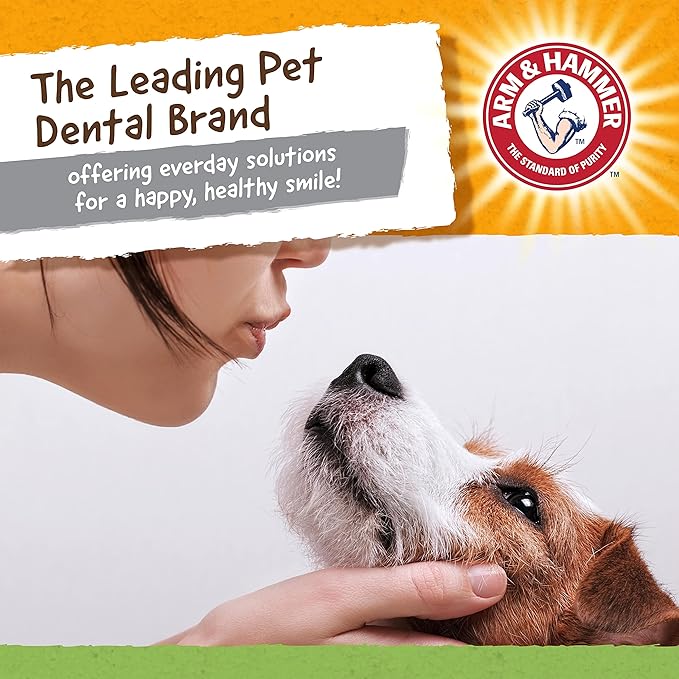 Arm & Hammer for Pets Nubbies Dental Toys T-Rex Dental Chew Toy for Dogs Best Dog Chew Toy for Moderate Chewers Reduces Plaque & Tartar Buildup Without Brushing, Mint Flavor (Pack of 2)