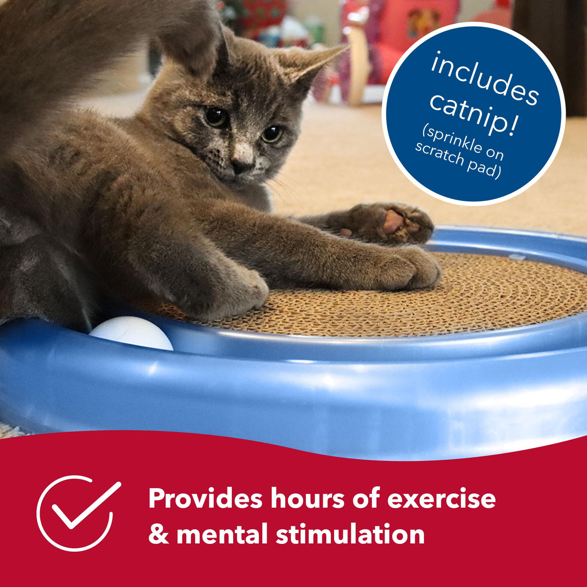 Coastal Pet Turbo Scratcher Cat Toy - Cardboard Cat Scratcher Pad with Cat Toy Ball Track and Catnip (1 Pack)