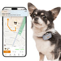 Pawfit Lite 4G GPS Dog Tracker, Live Tracking, Ultra-Light, Lilac Grey