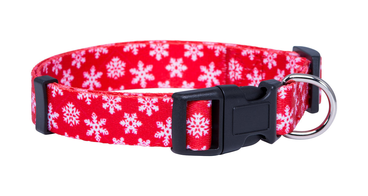 Native Pup Valentine’s Dog Collar- Valentines Day Pet Collars- Valentine Girly Hearts- Pink Red Heart- Cute Boy Girl Puppy Gift- Adjustable for Small, Medium, Large Breeds (Blue & Pink Hearts, Medium)