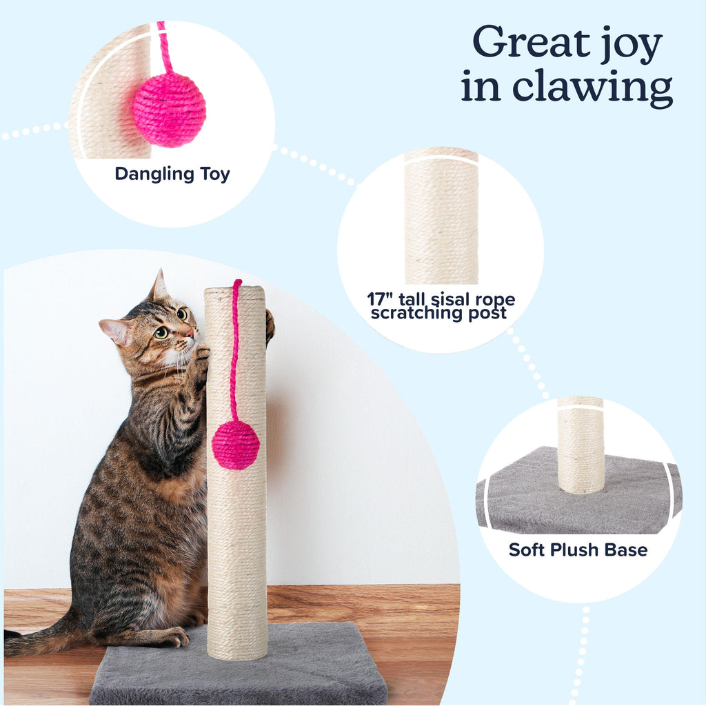 17-Inch Cat Scratching Post - Sisal Rope and Carpet Scratching Pole with Bright Pink Hanging Ball Toy for Adult Cats and Kittens by PETMAKER (Gray)