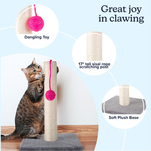 17-Inch Cat Scratching Post - Sisal Rope and Carpet Scratching Pole with Bright Pink Hanging Ball Toy for Adult Cats and Kittens by PETMAKER (Gray)