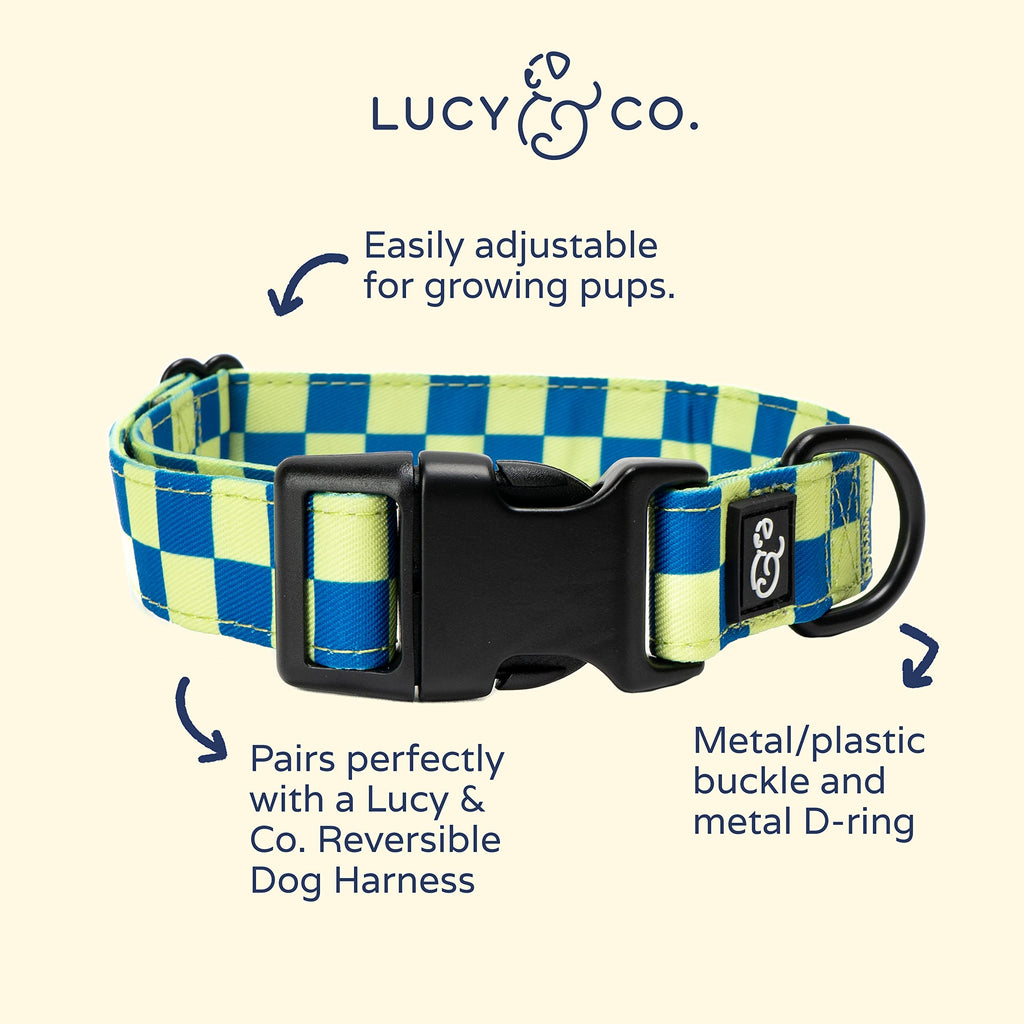 Lucy & Co. Have a Nice Day Dog Collar - Durable Lightweight Designer Collar for Pets - Adjustable Metal Safety Buckle - Lime Green Blue Checker - Large