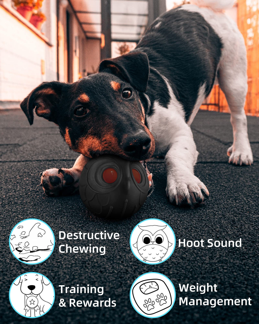 Mewlmart Giggle Ball for Dogs Owl Dog Toys for Aggressive Chewers Gift for Dog Natural Rubber Ball Cute Owl Hoot Medium Large Dog (Demon)