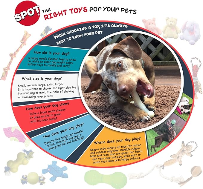SPOT Play Strong Bone- Durable TPR Long Lasting Dog Chew for Aggressive Chewers, Hole for Treats, Virtually Indestructible Toy for Small and Medium Dogs & Puppies - 4.5 inch