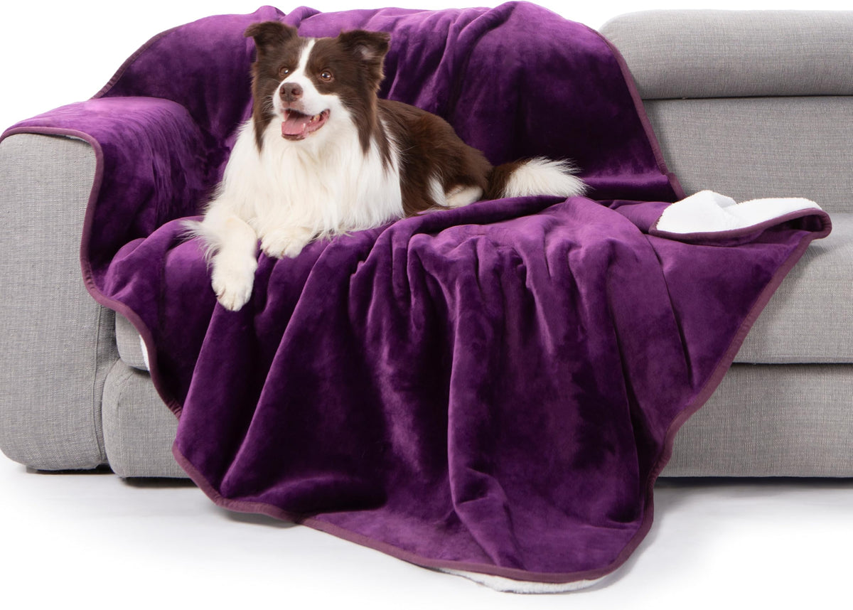 gogobunny Waterproof Bed Blanket, Reversible Sherpa Fleece Throw Blanket for Dog Puppy Cat, Furniture Cover Protects Bed Couch Sofa from Liquid Pee and Pet Fur (Cream, 90x108 inches)