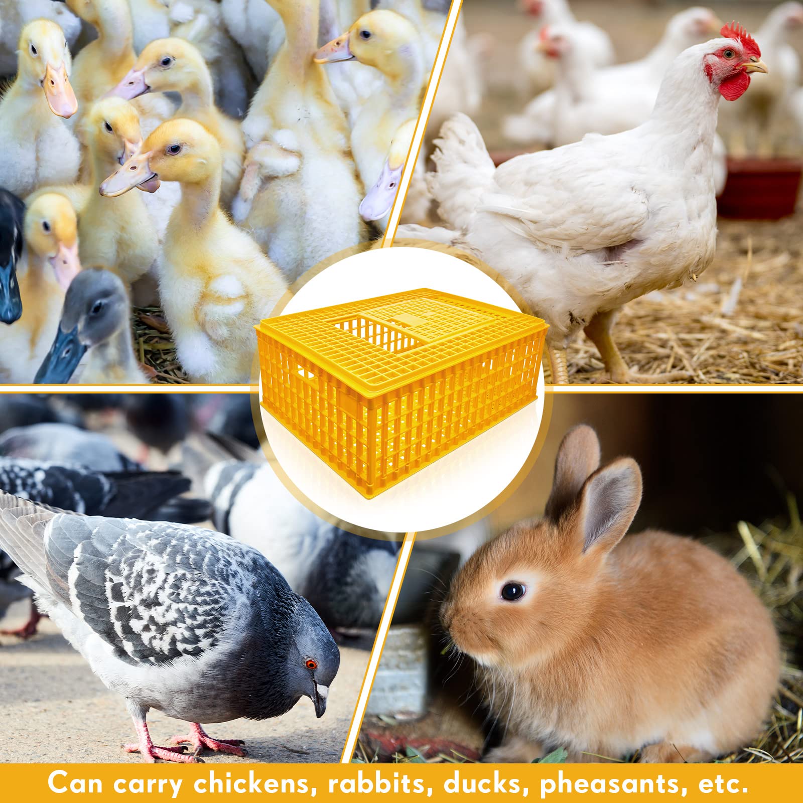 Sintuff Poultry Carrier Crate Plastic Chicken Transport Cage Bird Carriers Chickens Carrier Travel Crate Basket Box for Poultry Chicken Bird Duck Goose, 29.5 x 21.7 x 11.6 Inch(6 Pcs)
