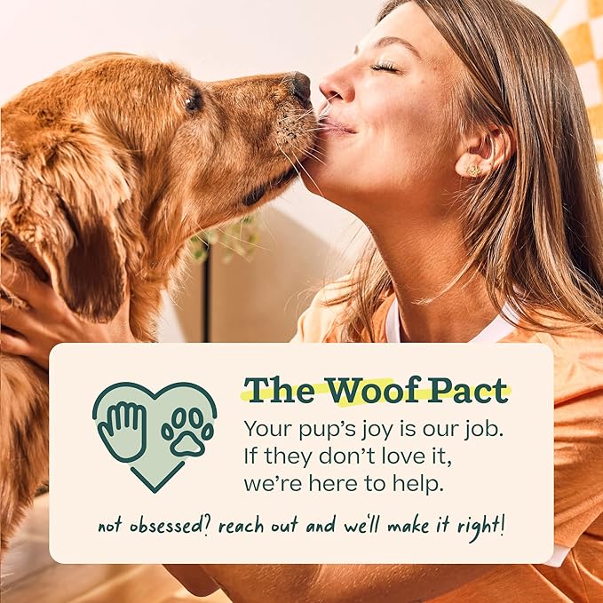 WOOF Pupsicle Refill Pops - Low-Mess Dog Snacks - with Peanut Butter and Beef - Dog Treats - Long Lasting - Small Pops - 10 Count - 2 Pack