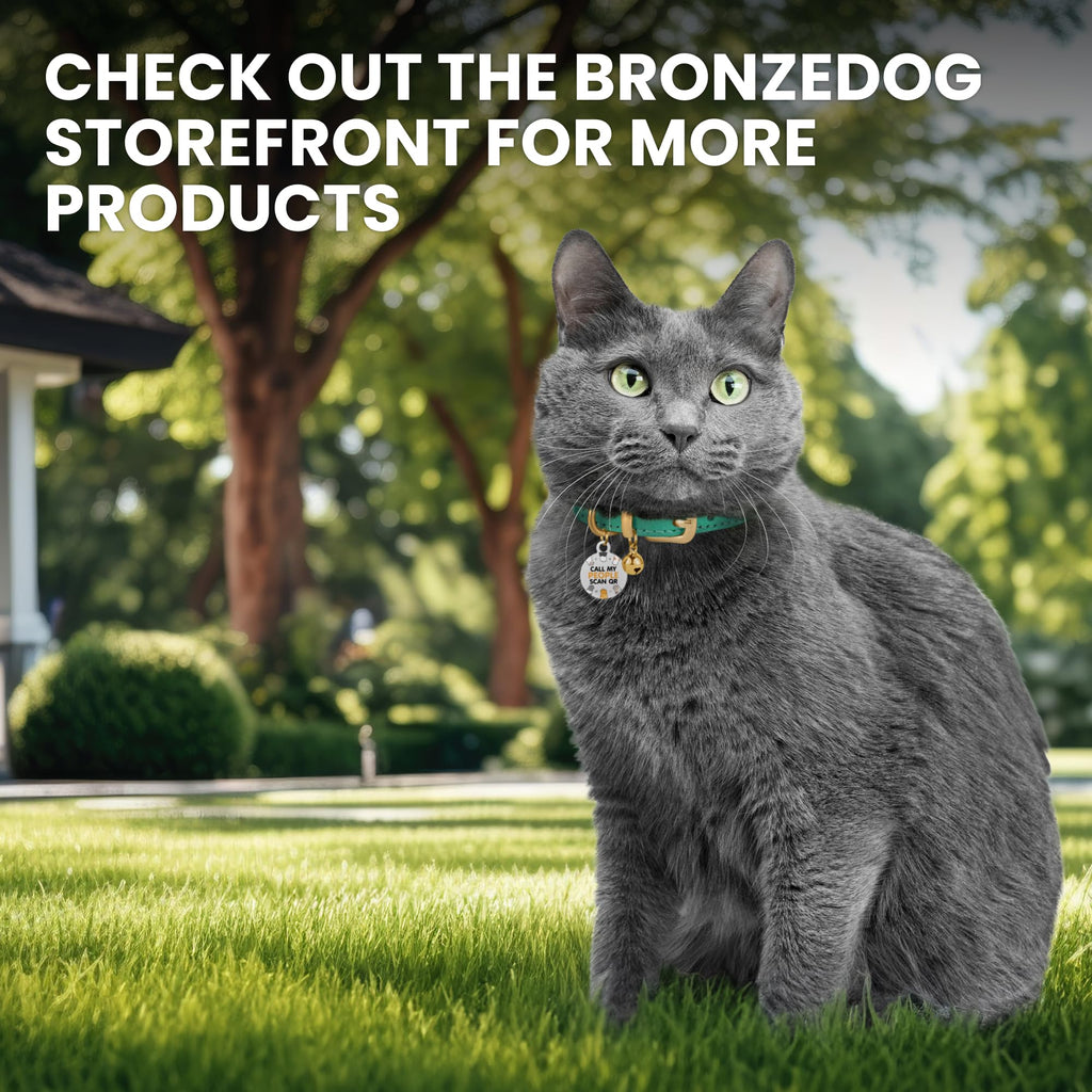 BRONZEDOG Leather Cat Collar with Removable Bells Non Breakaway Kitten QR Tag for Girl Boy (7" - 9" for Cats, Black & Gold)