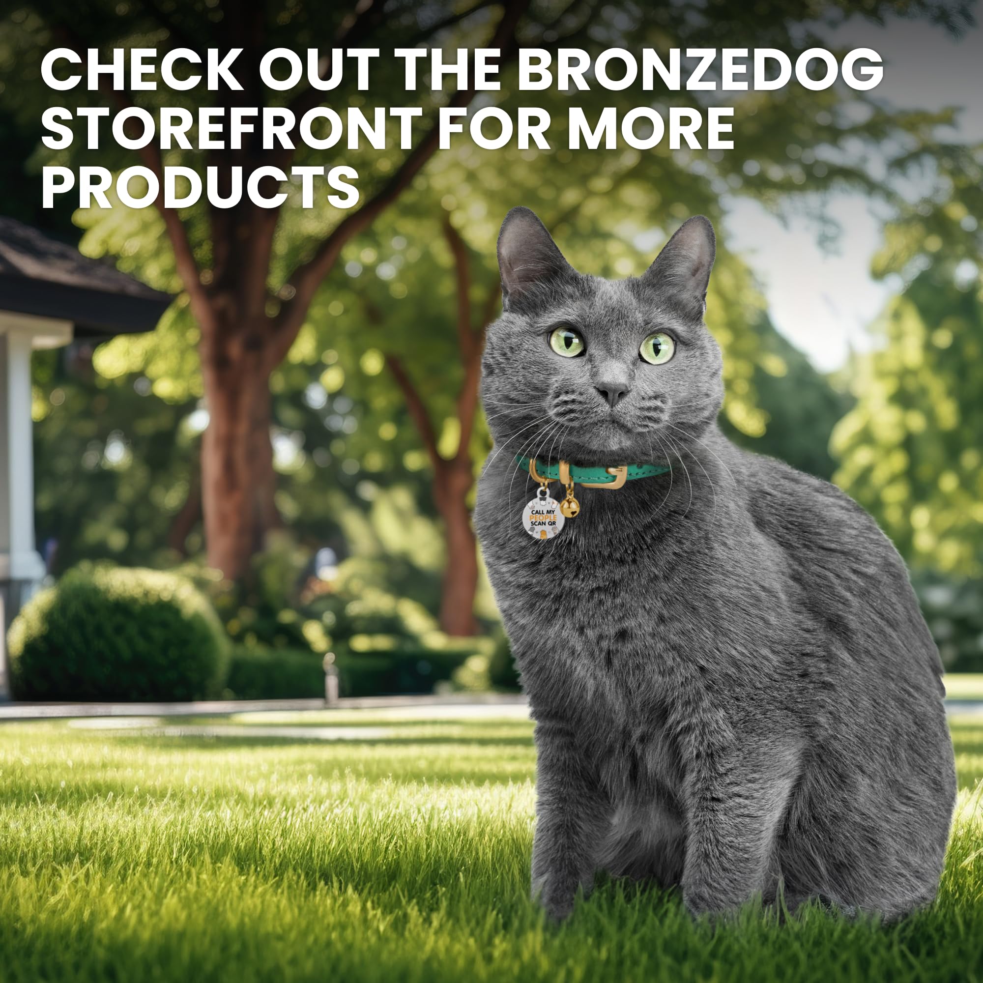 BRONZEDOG Leather Cat Collar with Removable Bells Non Breakaway Kitten QR Tag for Girl Boy (9" - 12" Cats/Mini Dogs, Red & Silver)