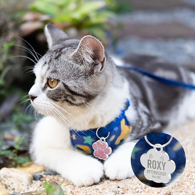 EDSG Cat Dog Tags Personalized for Pets, Dog Name Tags Cat Name ID Tag, Engraved Dog Tags Dog ID Tags Small Glitter Bling ID Tag Paw Print for Cat Pet Dog Puppy(Silver,Design 2)