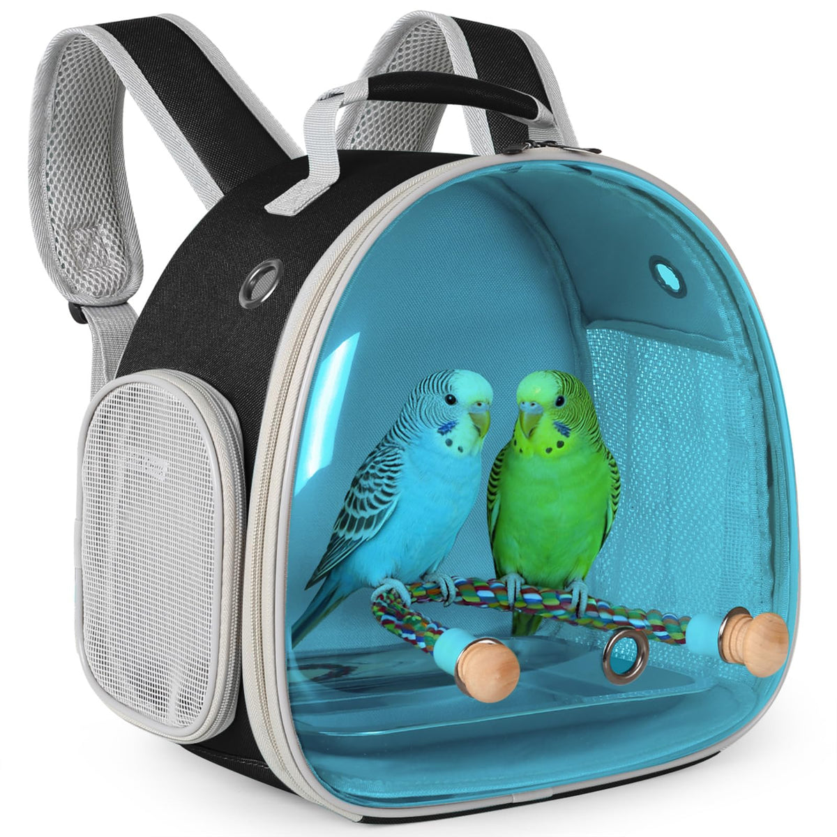 Small Bird Travel Backpack Carrier Cage, Backpack to Transport Backpack Carrier with Clamp Cups Stand Perch for Parakeet Cockatiel Budgies Vet Carry Book Bag Green