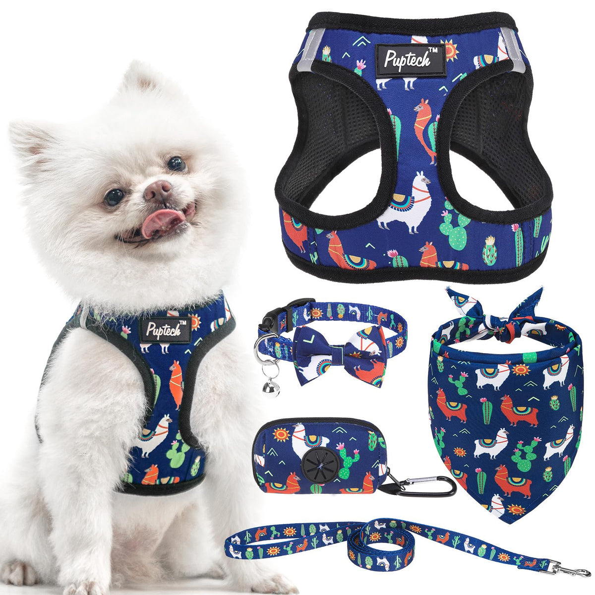 PUPTECK Dog Harness, Collar and Leash Set No Pull for Small Medium Sized