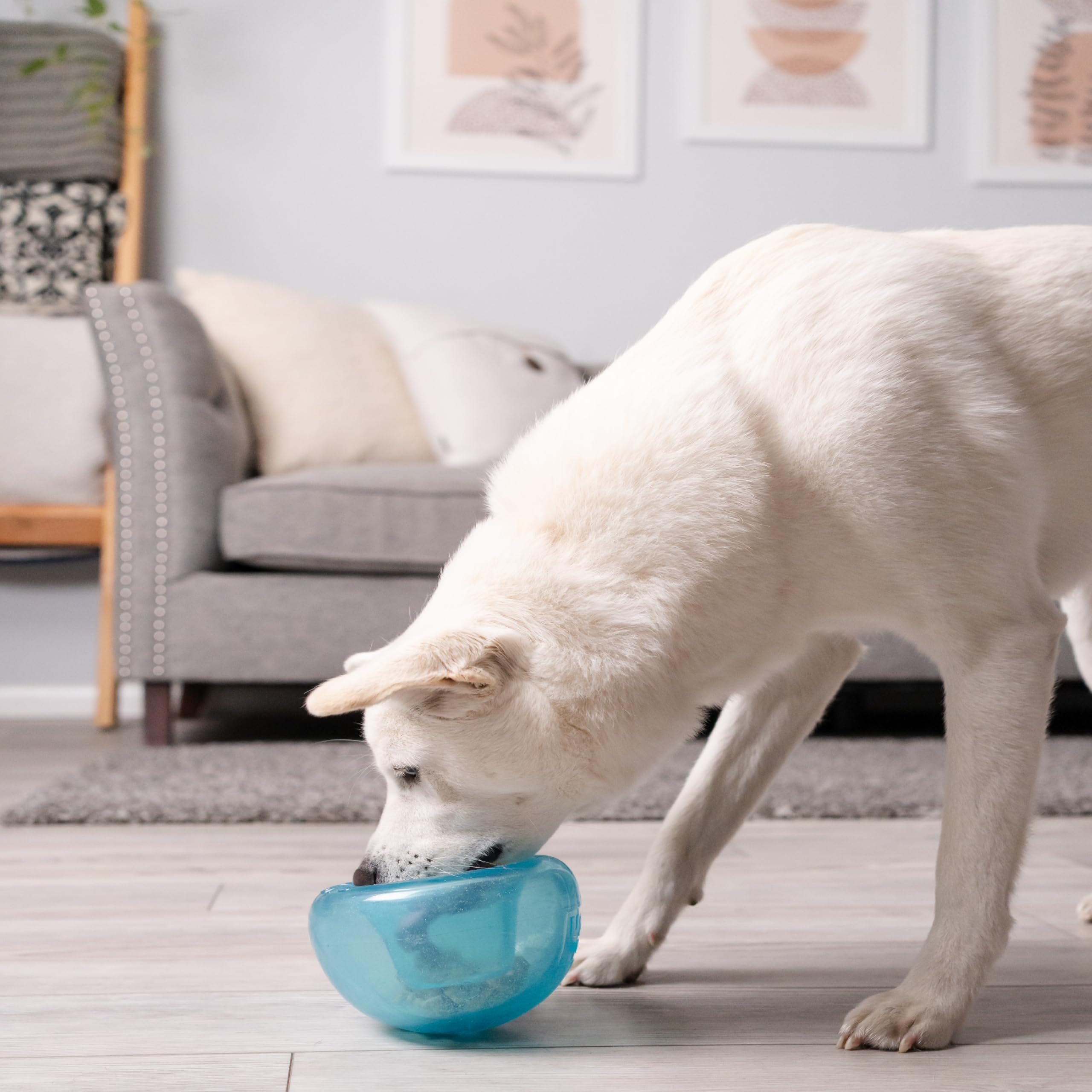 Outward Hound by Planet Dog Snoop Dog Toy – Treat‑Dispenser Puzzle Ball, Interactive Slow Feeder, Medium to Large Dogs, Bouncy & Mint-Infused, Blue, 5"