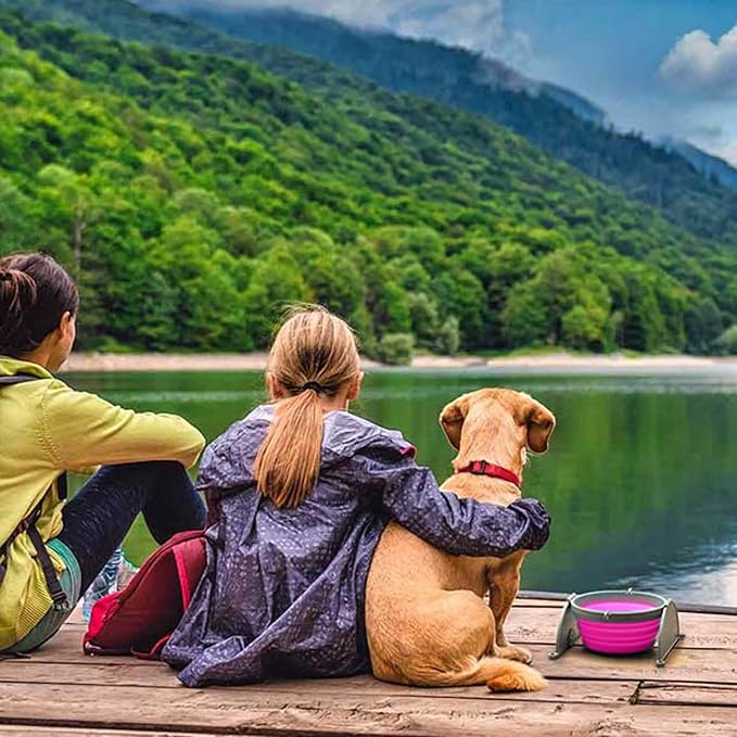 Loving Pets Bella Roma Collapsible Dog Bowls - Silicone Dog Bowls, Foldable Bowl, Puppy Essentials & Hiking Pet Supplies Great for Home & Travel (Pink, Large)