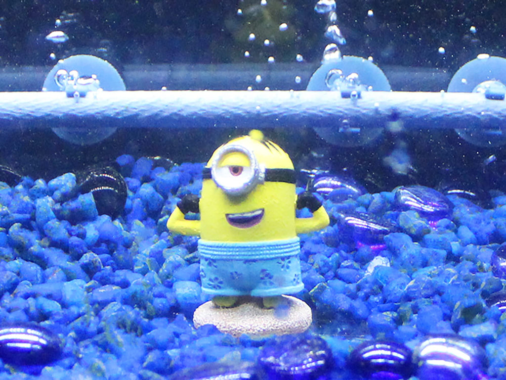 Penn-Plax Minions Officially Licensed 3-Piece Aquarium Ornament Bundle – Includes Kevin, Stuart, and Bob – Beach Themed – Small