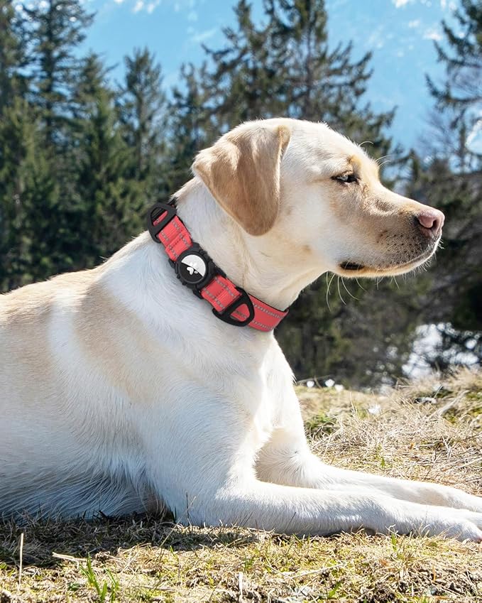 Joytale Airtag Dog Collar, Reflective Pet Collar with Waterproof AirTag Holder, Dual D-Rings, Soft Padded Adjustable for Small Dogs, Neon Pink, S