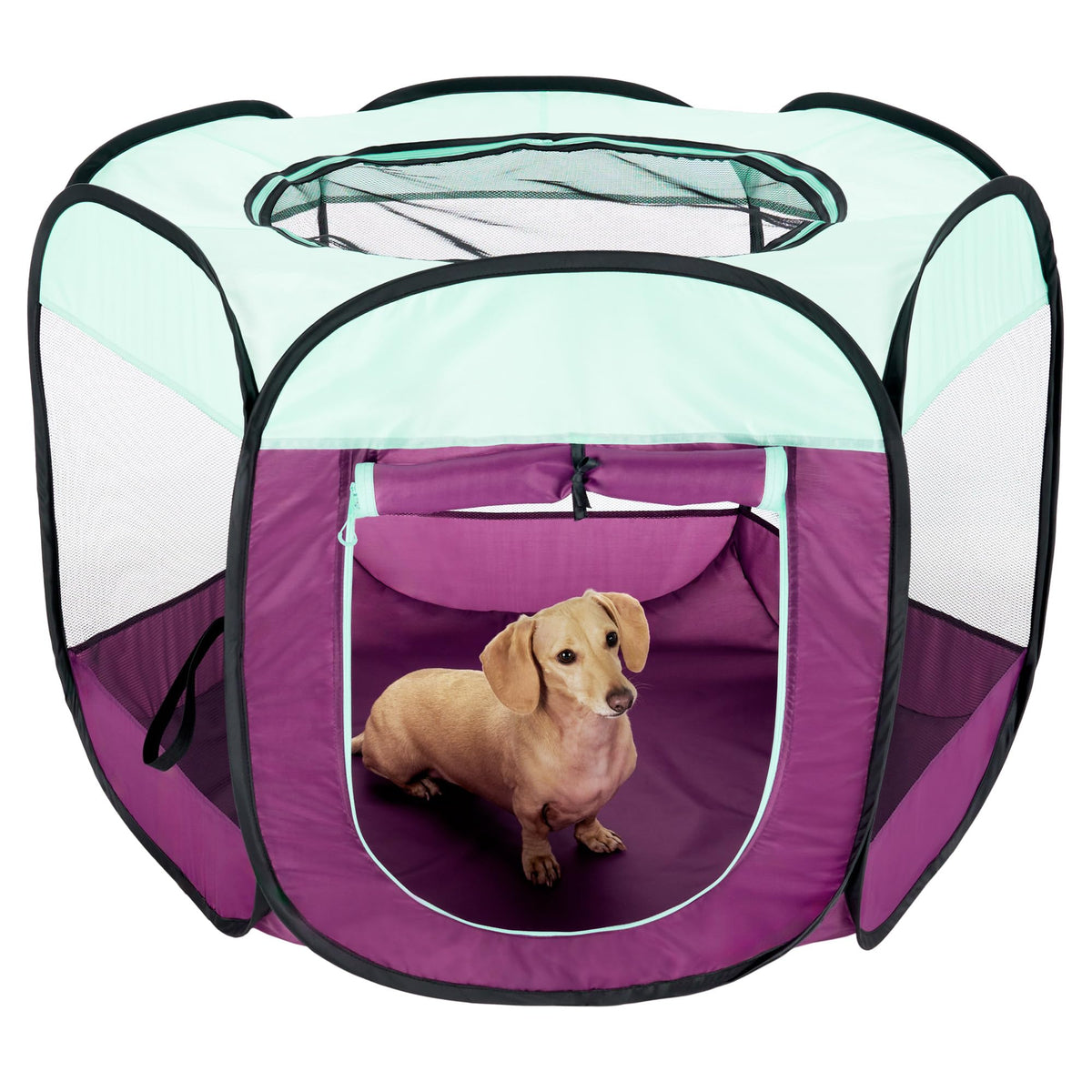 Furhaven Portable Dog Playpen Cat Tent, Pet Playground,Kennel Foldable Indoor Outdoor Zippered Puppy Crate - Navy, Medium