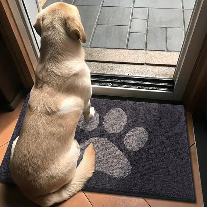 Buganda Dog Door Mat for Muddy Paws 59x35, Absorbent Doormat for Inside