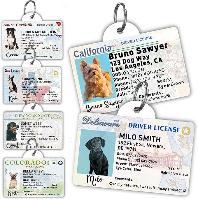 PawFurEver Personalized Dog Driver License ID Tag for Dogs & Cats - Custom Pet License Dog ID Tags Personalized Heavy Duty with Name, Photo & Phone Number, 50 States + DC (Arkansas, Tag)