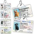 PawFurEver Personalized Dog Driver License ID Tag for Dogs & Cats - Custom Pet License Dog ID Tags Personalized Heavy Duty with Name, Photo & Phone Number, 50 States + DC (Iowa, Tag)