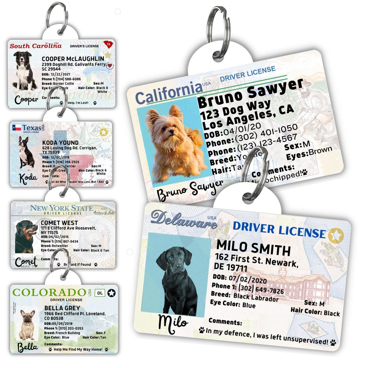 Dog Tags Personalized, Dog ID License Tag for Pets (Washington, Tag)
