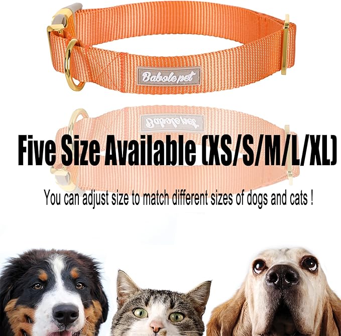 Nylon Dog Collar - Adjustable Orange Soft Webbing Dog Collars for Small Medium Large Dogs Boy Girl Puppy Collar with Safety Metal Buckle XS