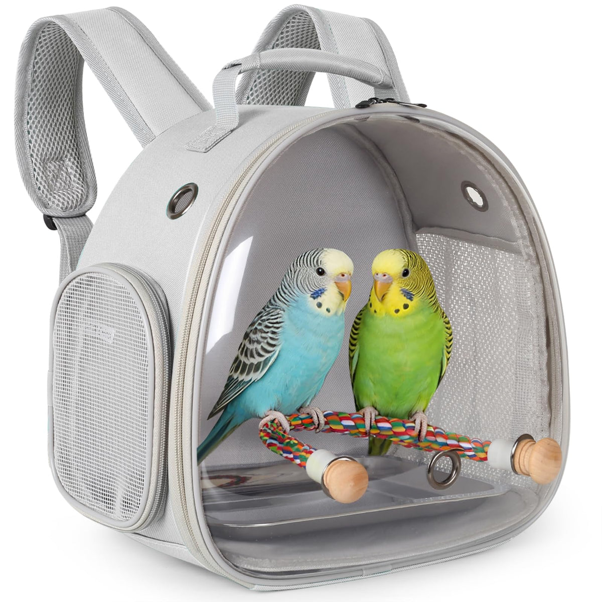 Small Bird Travel Backpack Carrier Cage, Backpack to Transport Backpack Carrier with Clamp Cups Stand Perch for Parakeet Cockatiel Budgies Vet Carry Book Bag Green