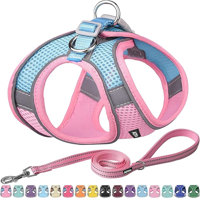 AIITLE Step in Dog Harness and Leash Set - No Pull Escape Proof Vest Harnesses with Soft Mesh and Reflective Bands, Adjustable Pet Outdoor Harnesses for Small and Medium Dogs Pink M