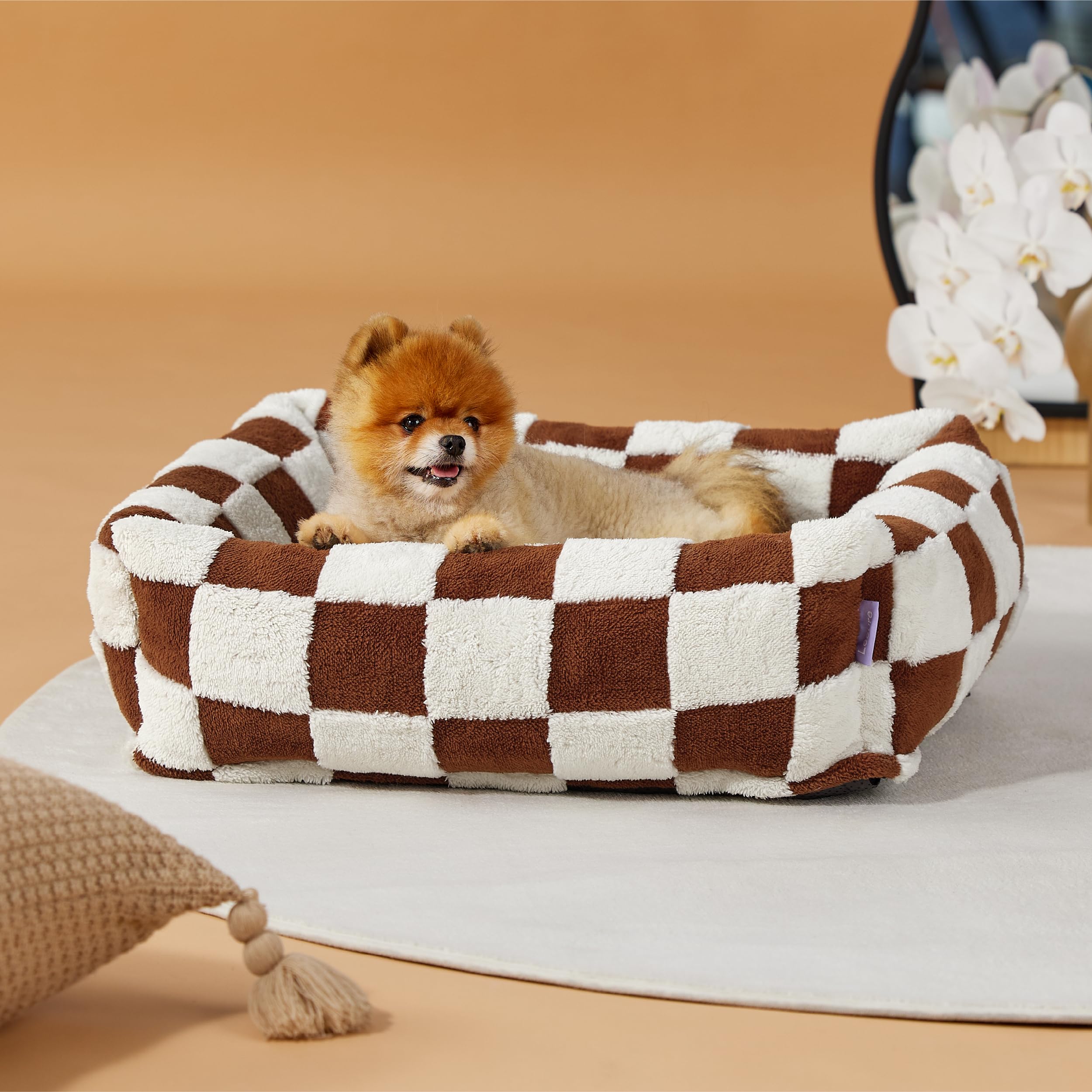 LE SURE Cute Dog Bed for Small Dogs Jacquard Washable Puppy Beds,25x21x7in