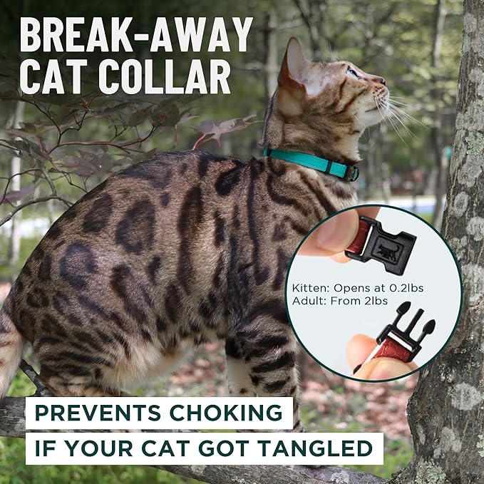 OutdoorBengal Red Cat Collar Breakaway with Soft Padding for Medium to Large Cats - Durable Heavy Duty Tactical Fabric, Comfortable, Quick Release Breakaway Cat Collars, No Bell Collar (Red, Adult)