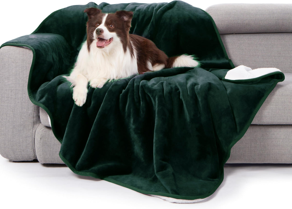 gogobunny Waterproof Bed Blanket, Reversible Sherpa Fleece Throw Blanket for Dog Puppy Cat, Furniture Cover Protects Bed Couch Sofa from Liquid Pee and Pet Fur (Cream, 90x108 inches)