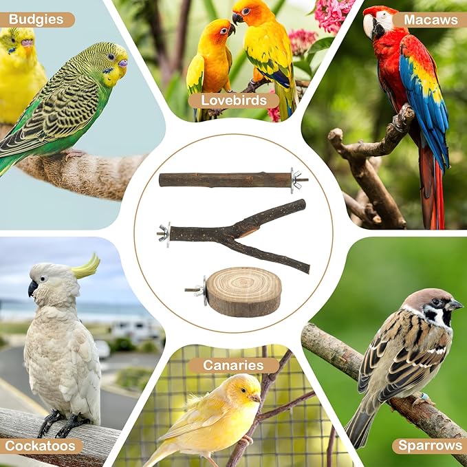 8PCS Bird Perches for Cage Natural Wood Parrot Perch Stand Cage Accessories