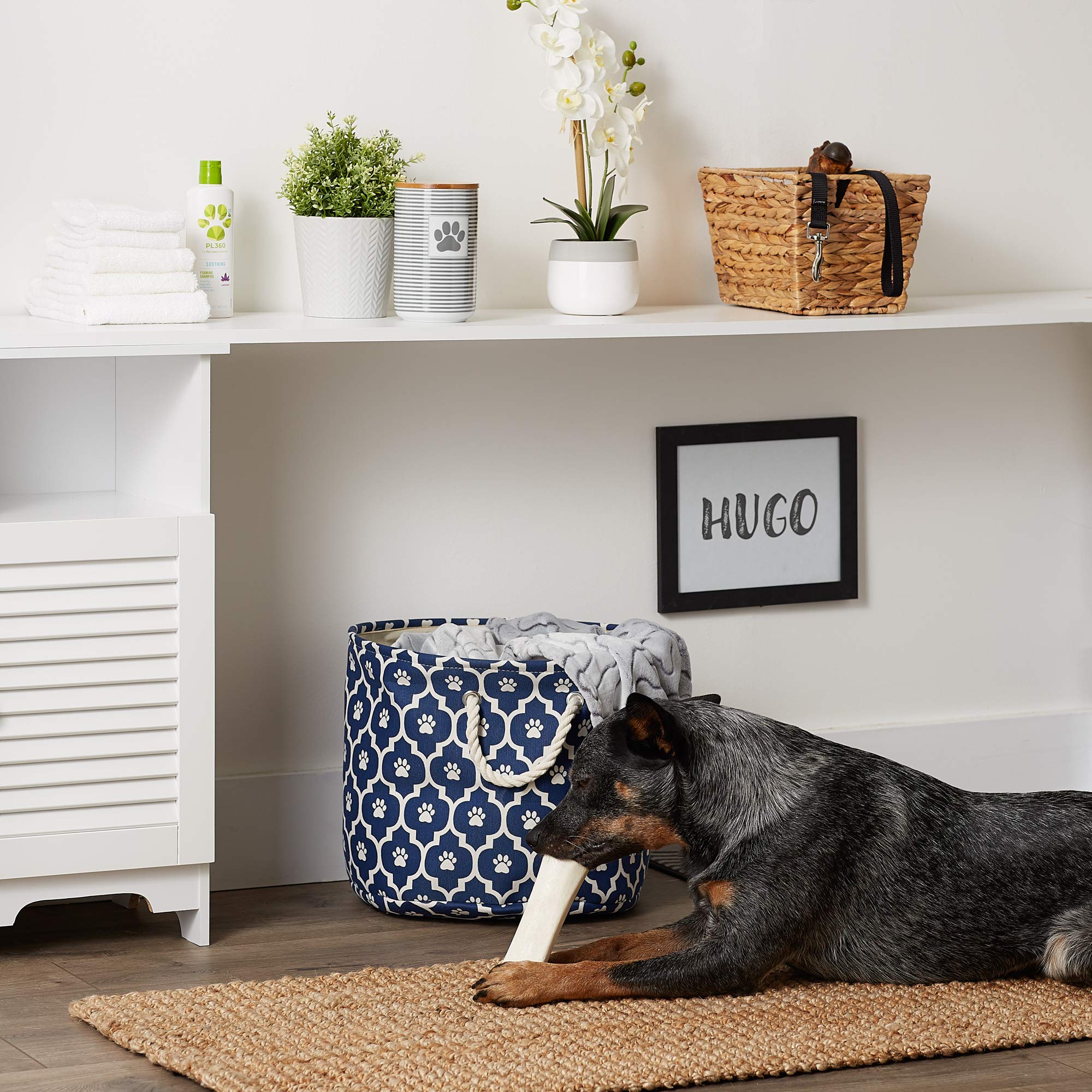 Bone Dry 6192 Pet Storage Collection Lattice Paw Print, Medium Round, Nautical Blue