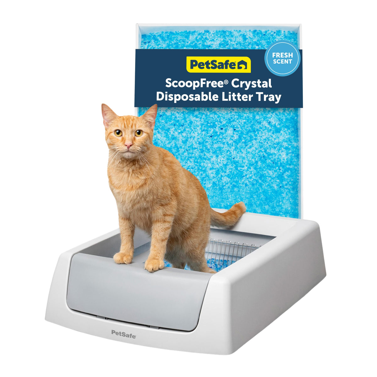PetSafe ScoopFree Crystal Classic Self-Cleaning Litter Box, Gray