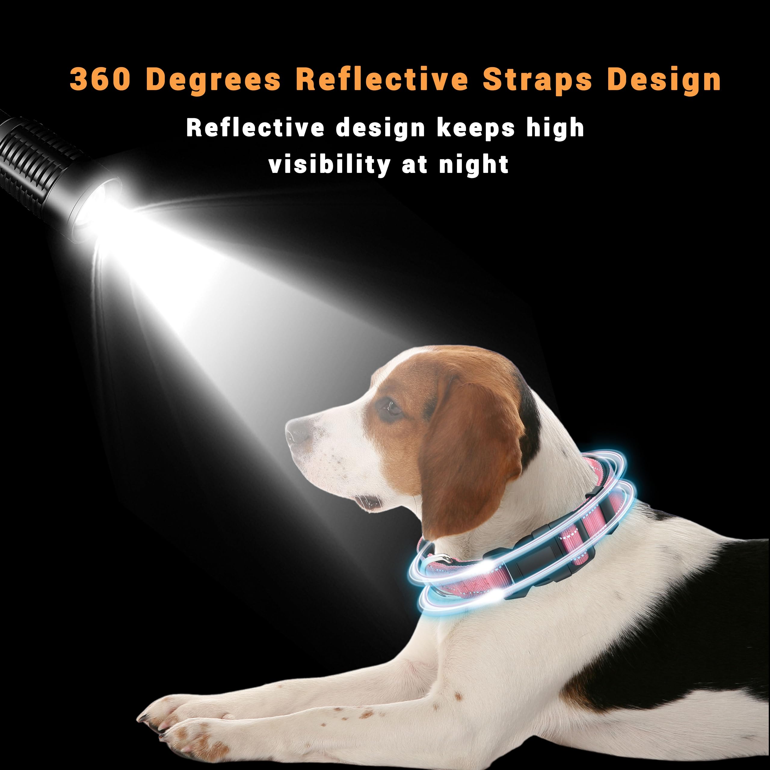 LIEVUIKEN 2 Pack Reflective Dog Collar with Safety Locking Buckle
