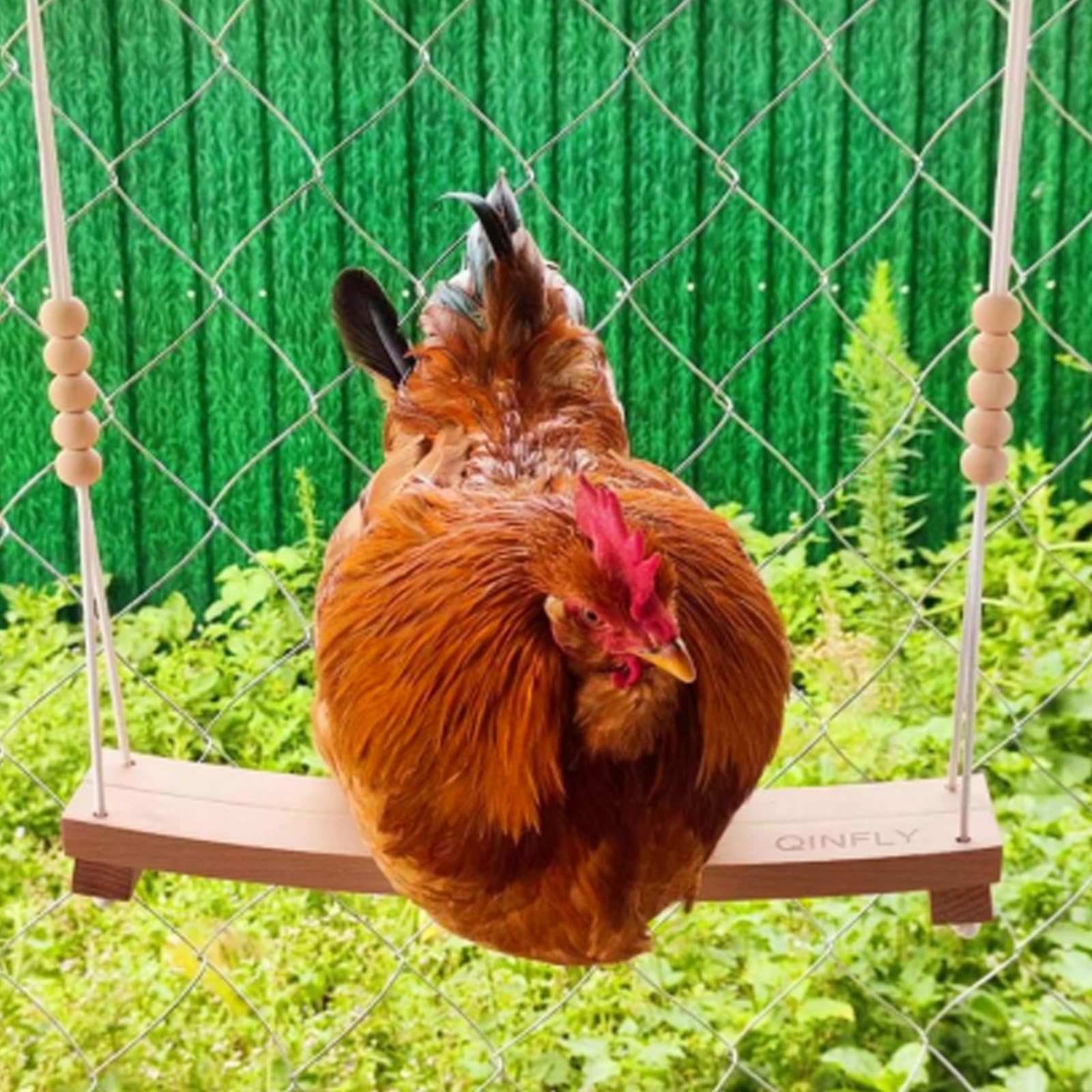 Arc-Shaped Beech Chicken Swing Toys Handmade for Coop Accessories