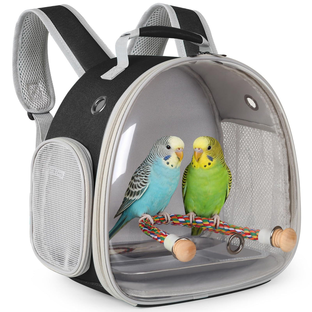 Small Bird Travel Backpack Carrier Cage, Backpack to Transport Backpack Carrier with Clamp Cups Stand Perch for Parakeet Cockatiel Budgies Vet Carry Book Bag Green