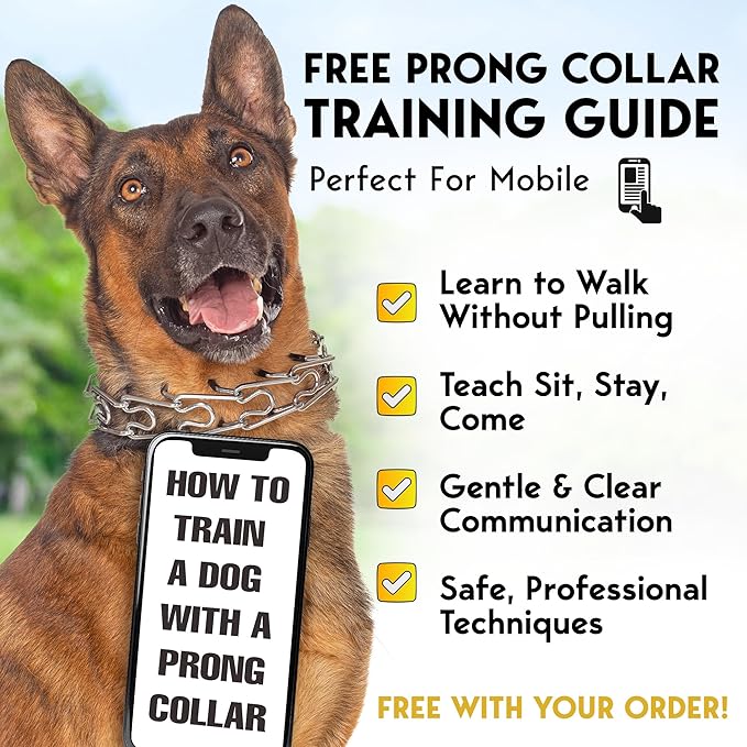 PetJett Prong Collar for Dogs - Choke Collar for Dogs, Pinch Collar for Dog Adjustable No Pull Dog Collar - Training Collar for Small Medium Large Dog Safety Durable Stainless Steel Metal Choker Chain