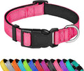 PWOD Reflective Dog Collar, Adjustable Soft Neoprene Padded Nylon Pet Collars with Buckle for Puppy and Small Dogs, Cats, Hotpink,XS