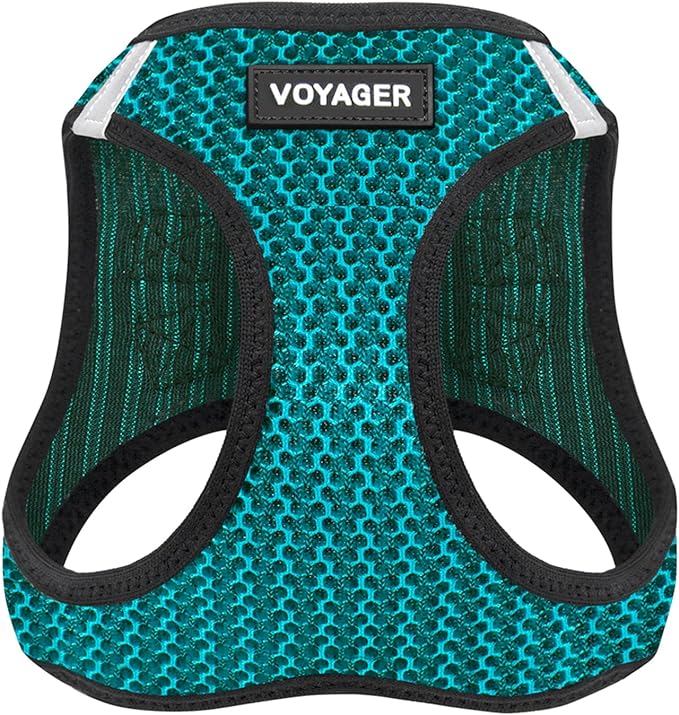 Best Pet Supplies - All Weather Mesh/Plush, Reflective, No Pull Harness for Small, Medium Dogs, Cats - Secure with Hook & Loop Fastener, Buckle, Double D-Rings - Turquoise 2-Tone, L