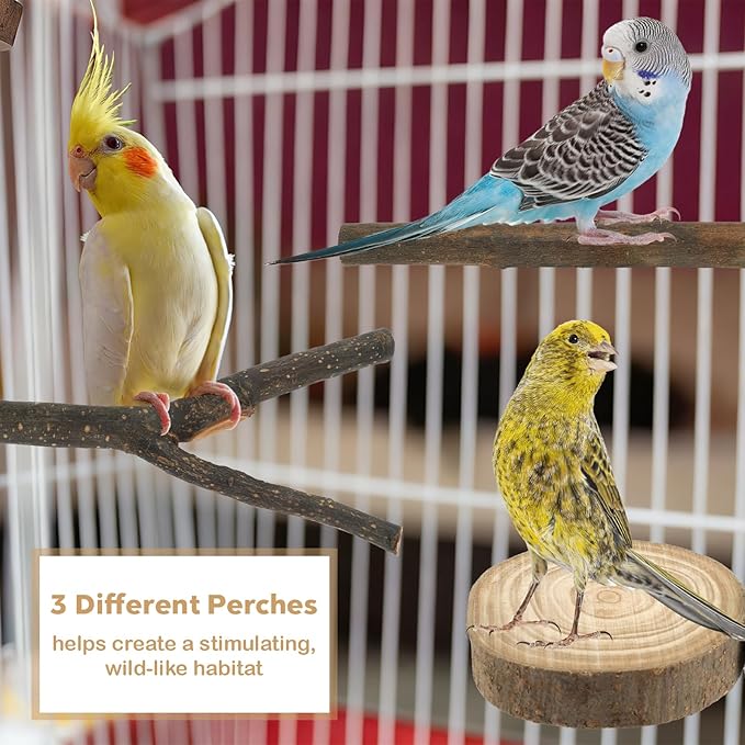 8PCS Bird Perches for Cage Natural Wood Parrot Perch Stand Cage Accessories