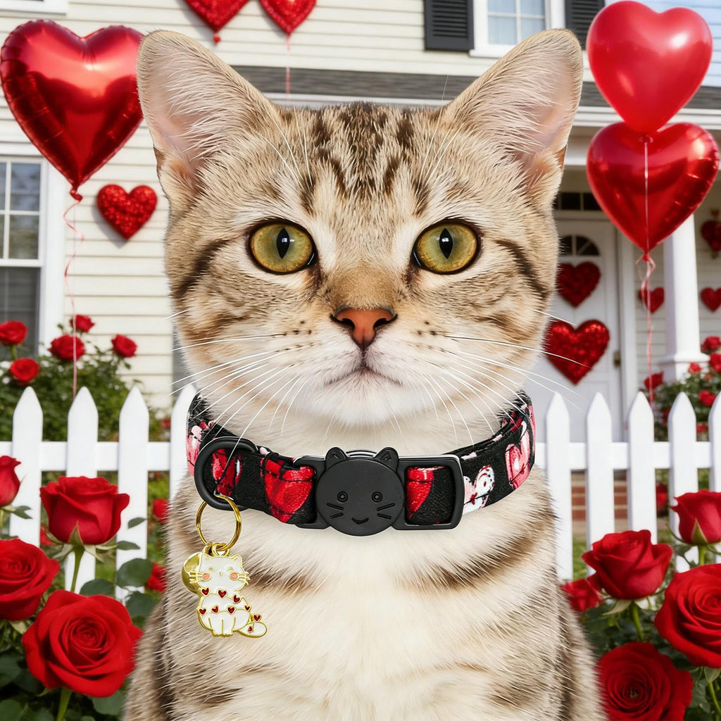 Bobo Rainbow Valentine Red & Black Heart Print Cat Collar(2-Pack) Breakaway