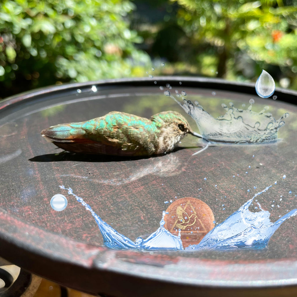 GOHUOX Bird Bath Purification Disk, 99.99% Copper Disc for Bird Bath Copper Disk Cleaner Safe for Outside Birds Fountain Disc Accessories, Fit for Outdoor Birdbath Bowl (3 pcs)