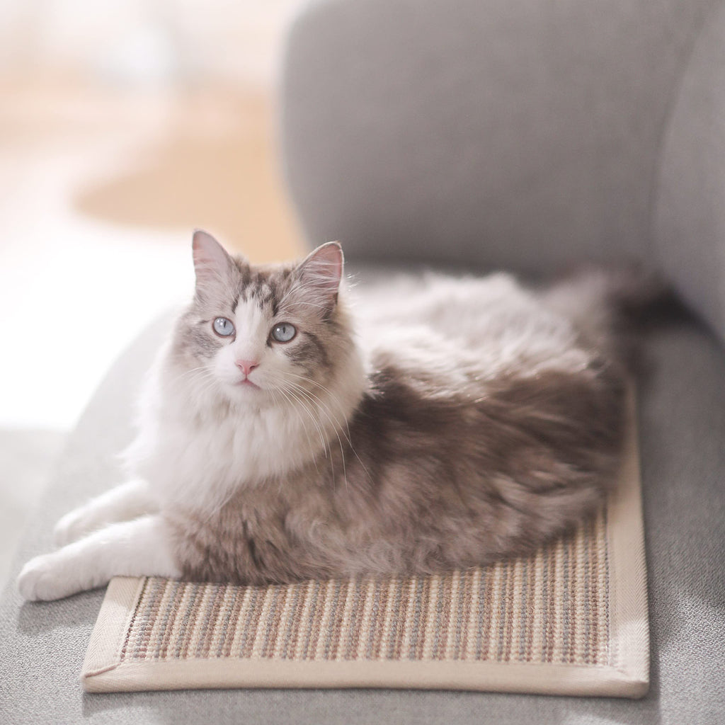 FUKUMARU Cat Scratcher Mat, 23.6 X 15.7 Inch Natural Sisal Cat Scratch Mat