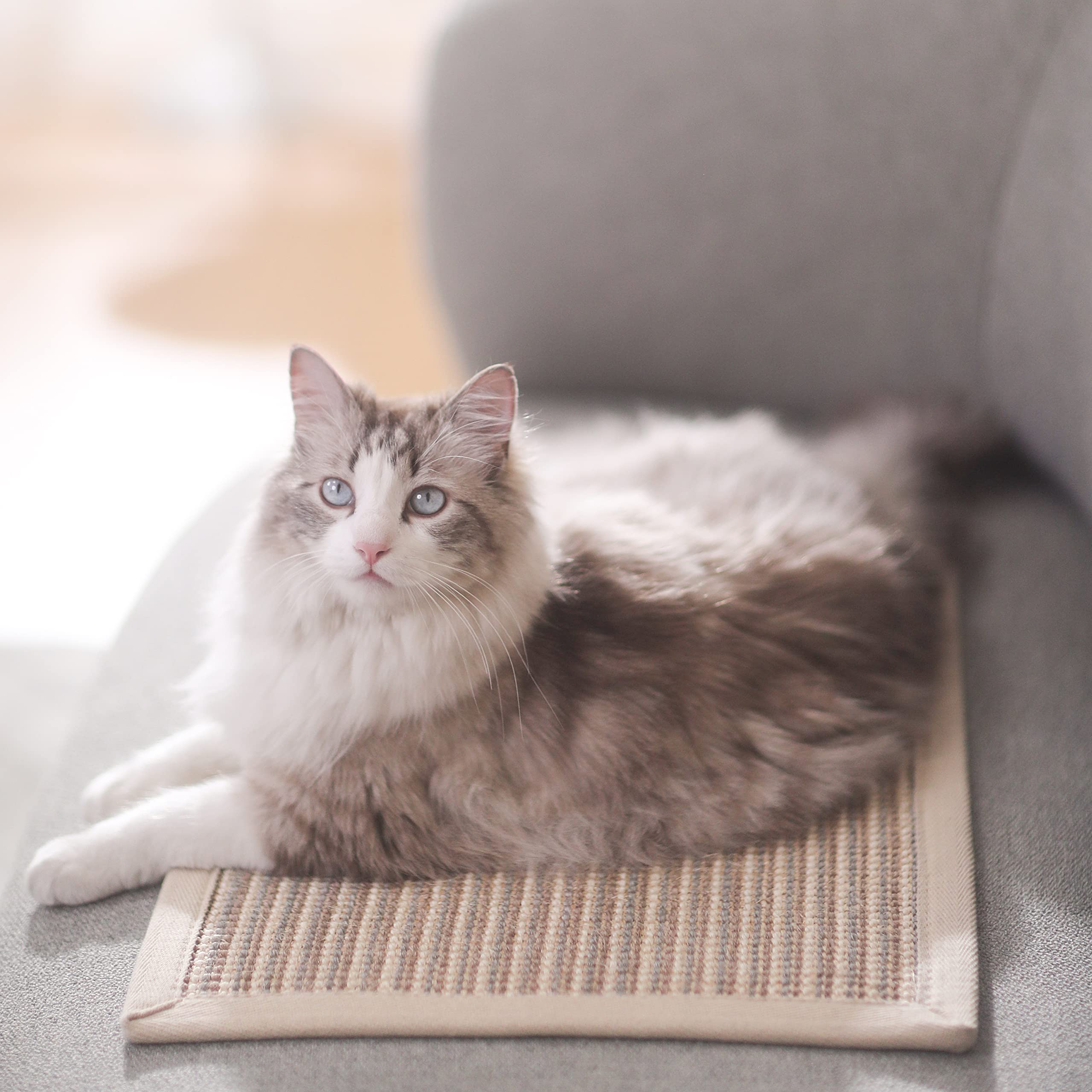 FUKUMARU Cat Scratcher Mat, 23.6 X 15.7 Inch Natural Sisal Cat Scratch Mat