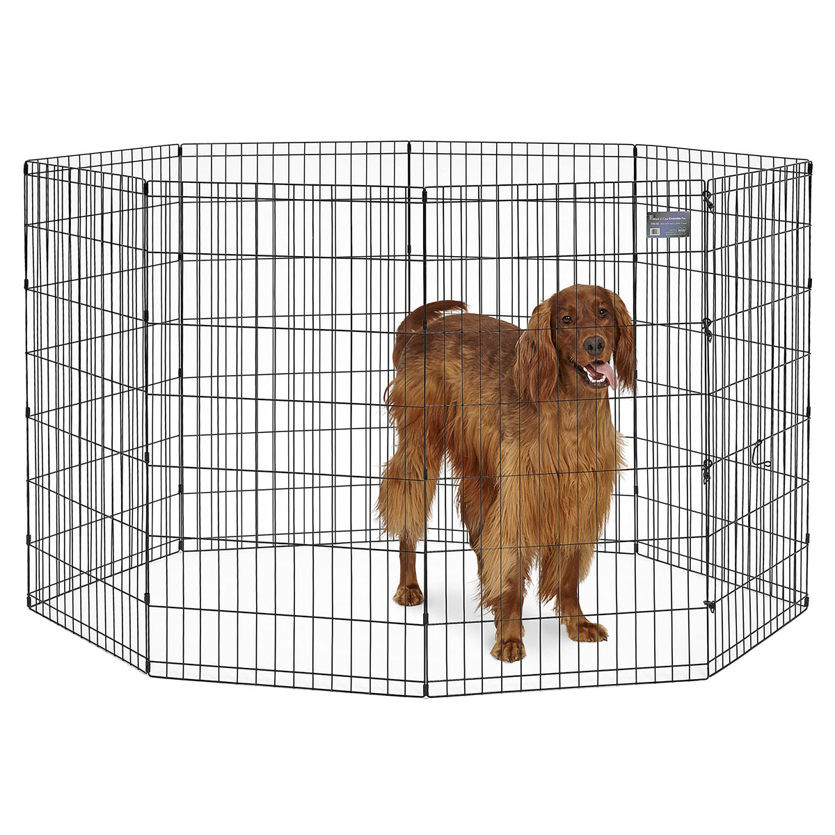 MidWest 30-Inch Exercise Pen, Single Door, 16 Sq Ft Play Area